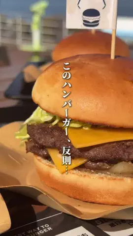 なんがでっきょんな？ |香川おでかけガイドのTikTok投稿