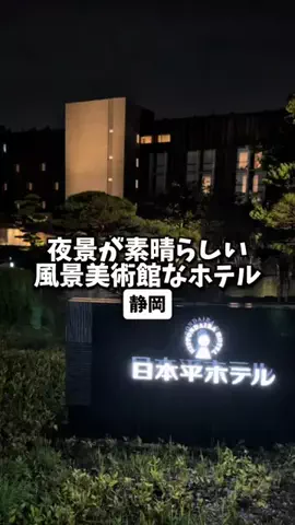 日本グルメのTikTok投稿