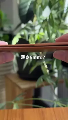 Tiểu NgỗngのTikTok投稿