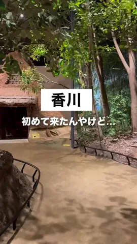 なんがでっきょんな？ |香川おでかけガイドのTikTok投稿