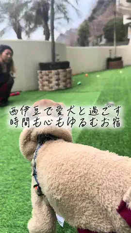 🇯🇵Garage  Refind🇯🇵SuperCubのTikTok投稿