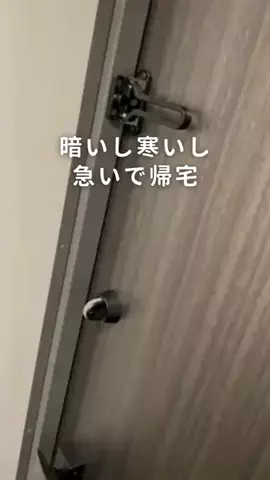 Lilima - 防犯グッズ専門ブランドのTikTok PR投稿：今日も何も起きなかった。 それがいちばん！ 「備え」は…