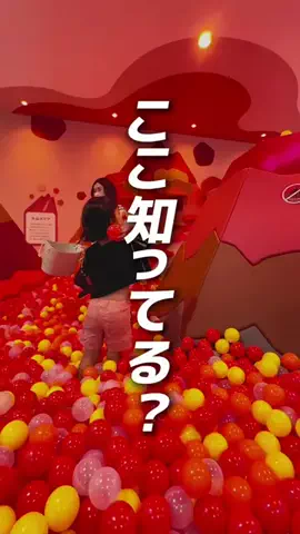 なんがでっきょんな？ |香川おでかけガイドのTikTok投稿