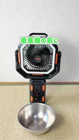 歌唱ずんだもんchのTikTok投稿