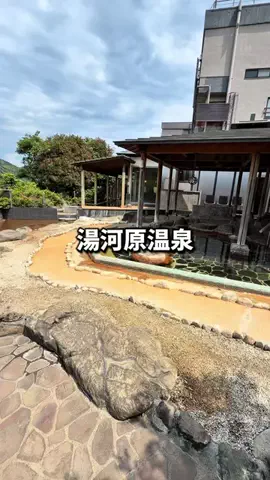日本グルメのTikTok投稿