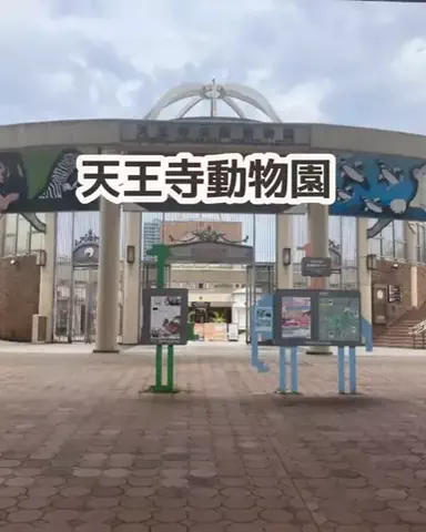 🌿𝙉𝙖𝙢𝙞🍜❤【自粛中】のTikTok投稿