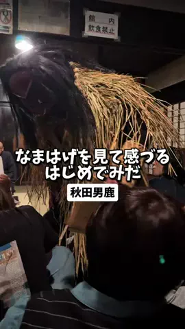 日本グルメのTikTok投稿
