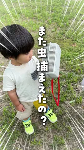 あそママのTikTok投稿