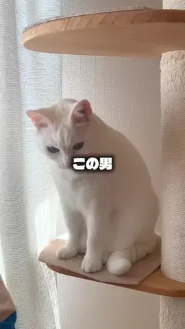 せまるのTikTok投稿