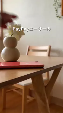 ぴーえむ⌇生活費6万円ズボラママの家計管理のTikTok投稿