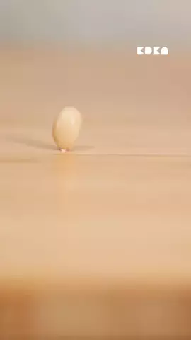 家電彼女のTikTok投稿