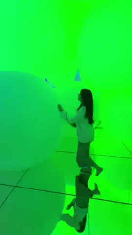 かな？｜台湾ワーホリ中🇹🇼のTikTok投稿