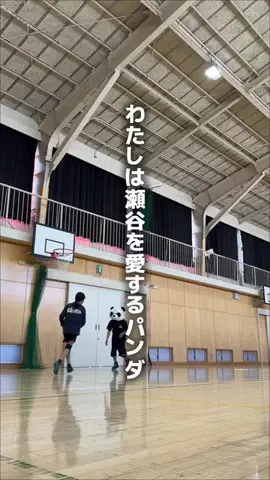 瀬谷なびのTikTok投稿