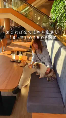 旅んちゅLife✈︎大切な人と最高な宿へのTikTok投稿