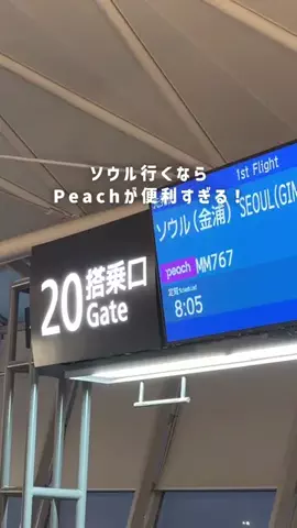 マイルちゃん@月10万円以上旅費に使う女✈のTikTok投稿