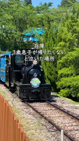 京都ぼちぼちチャンネルのTikTok投稿
