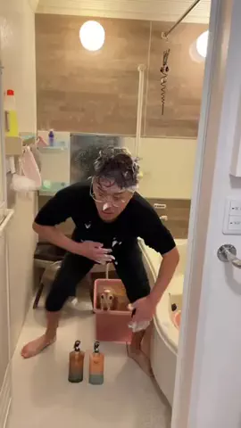 ペローん家のTikTok投稿