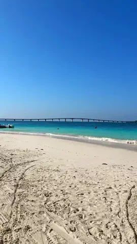旅行大好き女子🐬🤍のTikTok投稿