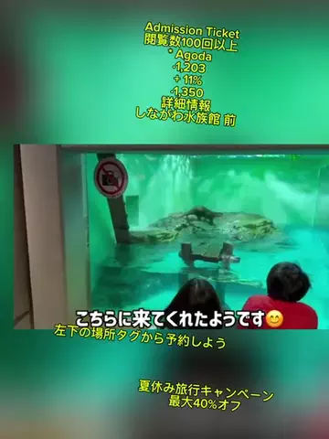 TikTok go.jpのTikTok投稿