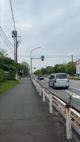 よこはじ | 横浜市金沢区の盛り上げプロジェクトのTikTok投稿