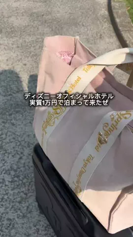 ぴよウサ@ホテルヲタクのTikTok投稿