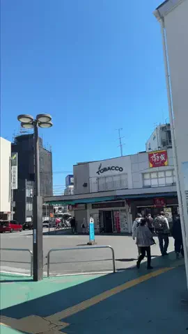 よこはじ | 横浜市金沢区の盛り上げプロジェクトのTikTok投稿