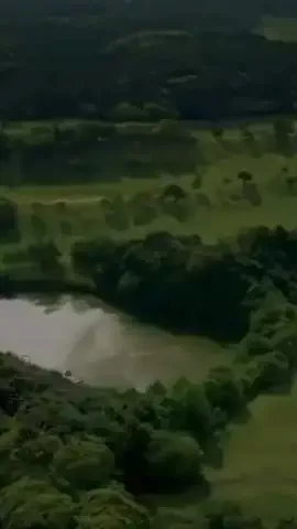 zubora_sannのTikTok投稿