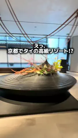 強運のにこねぇ♾️🔮🐉のTikTok投稿