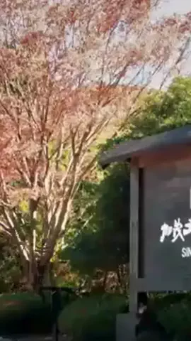 zubora_sannのTikTok投稿