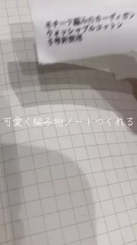 こりんぼすけの休暇のTikTok投稿