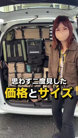フラミン子のTikTok投稿