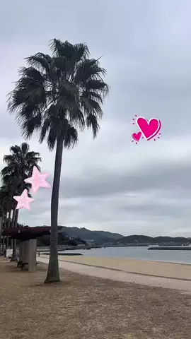 逆転大学生🔥 @就活👔のTikTok投稿