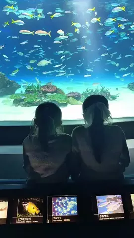 ぐりぐらママ@子連れ旅行で一度は行きたいスポット巡りのTikTok投稿
