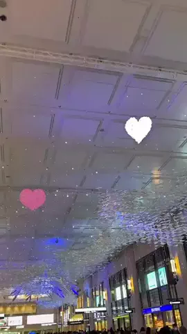 あお🧸@就活のリアルのTikTok投稿