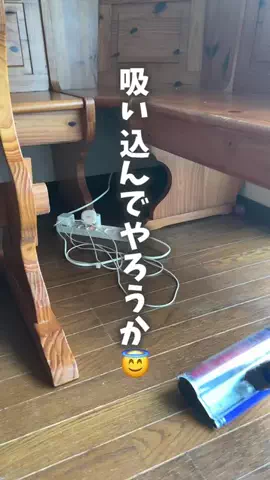 chaba.kurashiのTikTok投稿