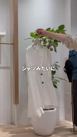 sakiのTikTok投稿