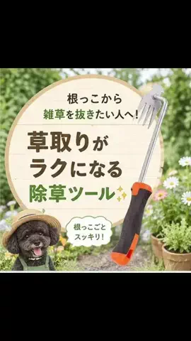 ritsu💐のTikTok投稿