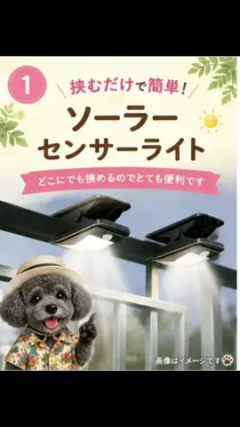ritsu💐のTikTok投稿
