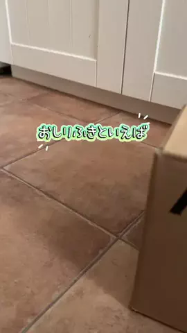 サチ🌼のTikTok投稿