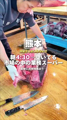 竜🦖【熊本スポット】のTikTok投稿