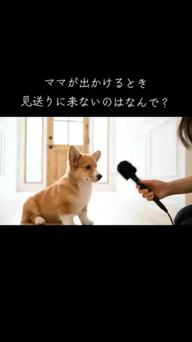 犬猫総合製薬株式会社のTikTok投稿