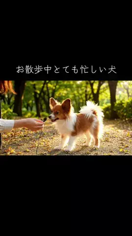 犬猫総合製薬株式会社のTikTok投稿