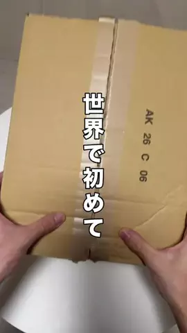 いいもの図鑑のTikTok投稿