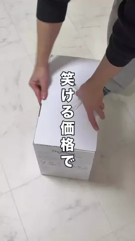 いいもの図鑑のTikTok投稿