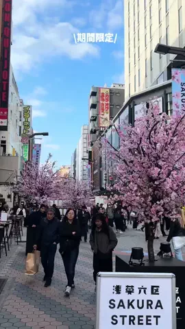0からトレンド生活👀✨のTikTok投稿
