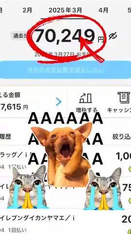 0からトレンド生活👀✨のTikTok投稿