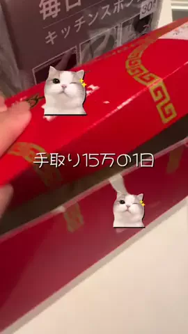 鰻食べたい@手取り15万のTikTok投稿