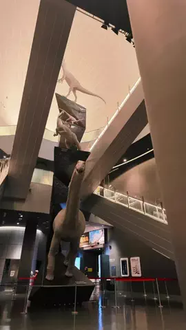 JPN旅する配達人ふぅ🐒🏔️🥾のTikTok投稿