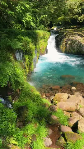 JPN旅する配達人ふぅ🐒🏔️🥾のTikTok投稿