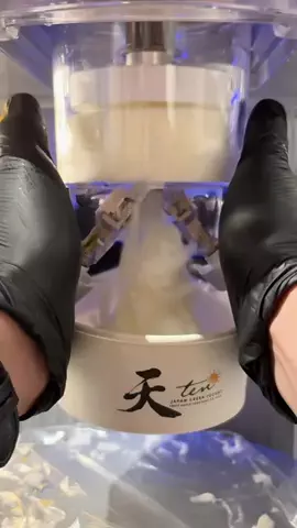 大田区グルメカフェのTikTok投稿